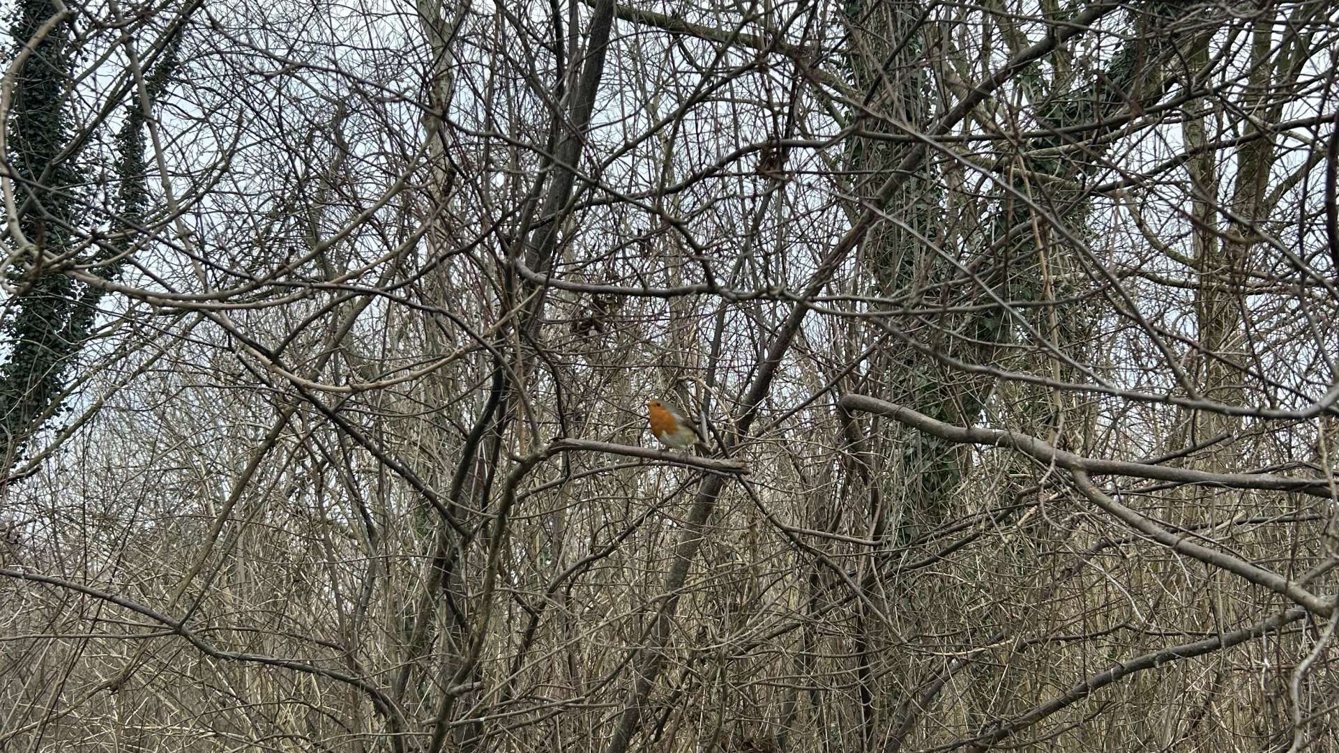 Sounding Spaces Exercises