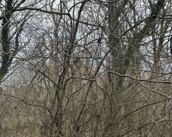 Sounding Spaces Exercises