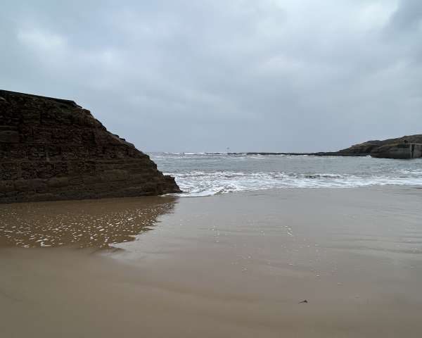 Second Composition Draft