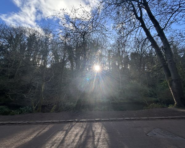 Final composition ideas