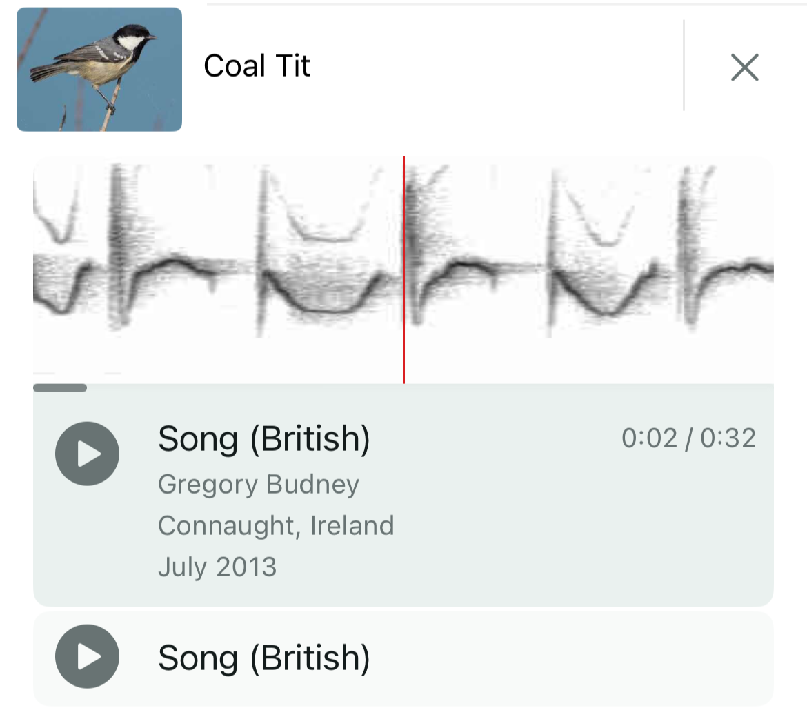 Spectrogram and graphic scores