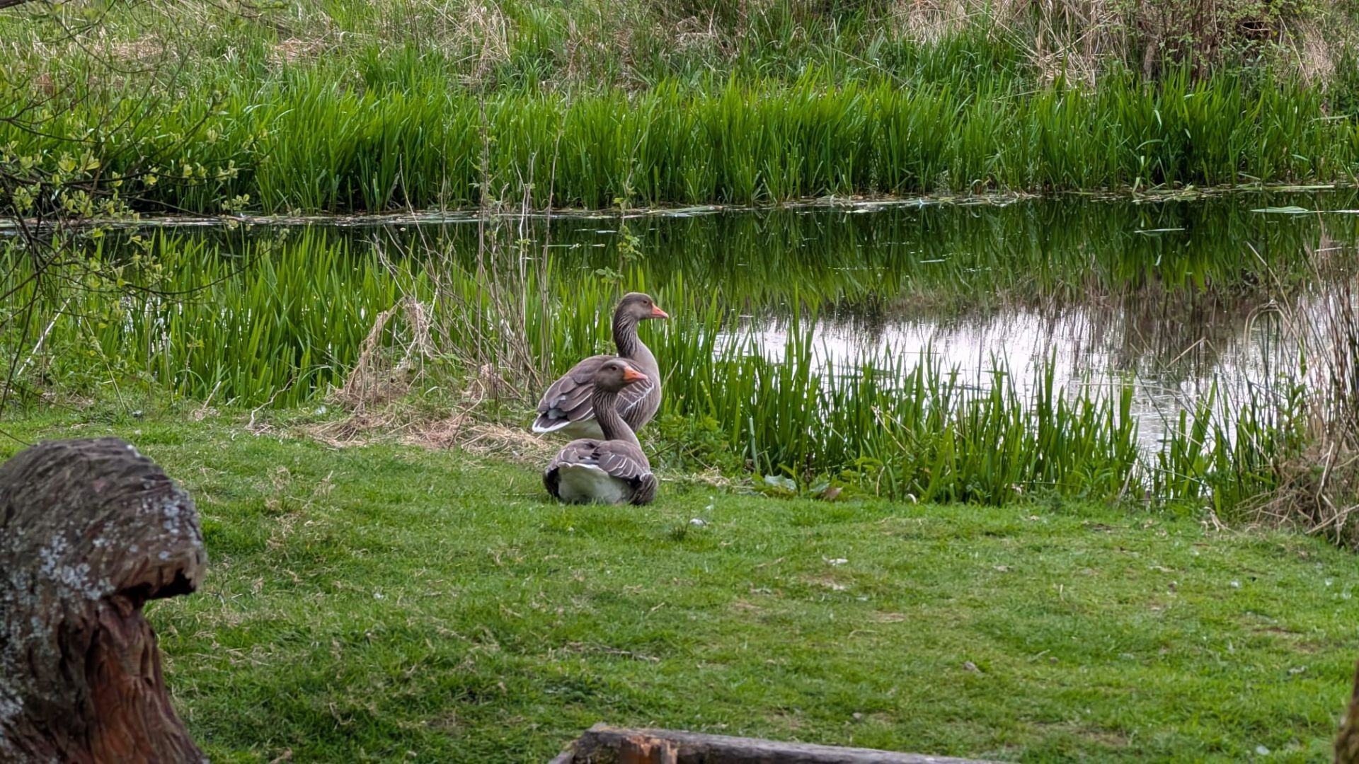Final Composition - Arch of the Day